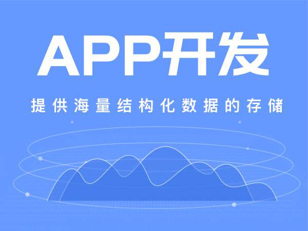 app開發公司定制